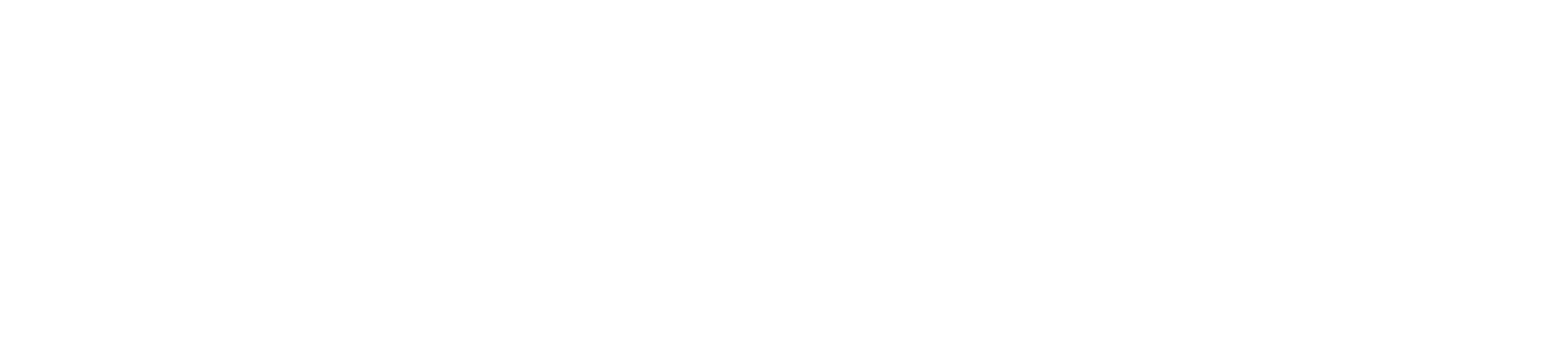logo white